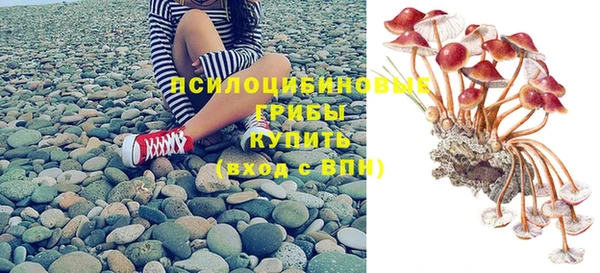 мет Шали