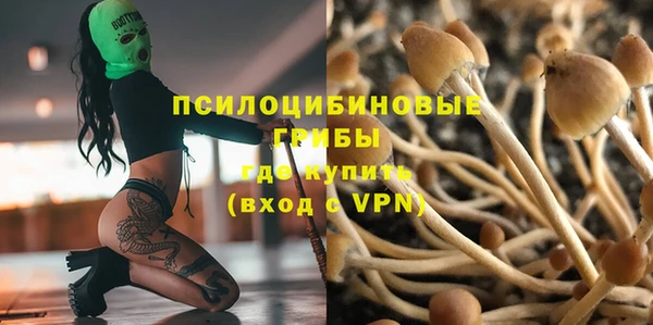 гидра Шарыпово