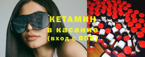 сатива Шадринск
