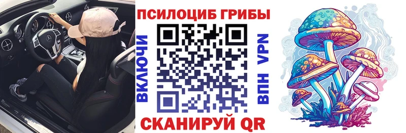 Псилоцибиновые грибы мицелий  купить закладку  МЕГА tor  Давлеканово 