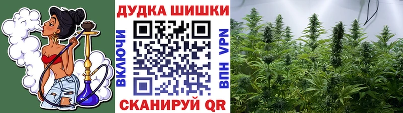 Канабис план  Давлеканово 
